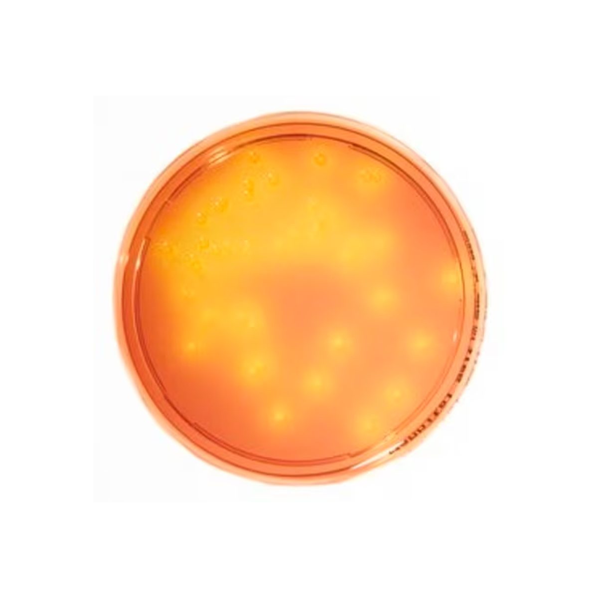 HEIMPLATE Mannitol Salt Agar