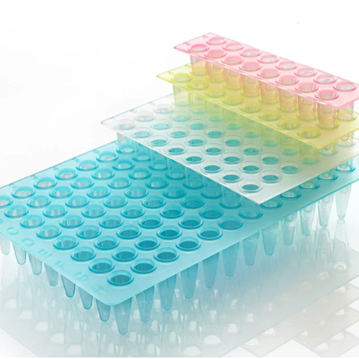 Non-Skirted PCR Plate Segment