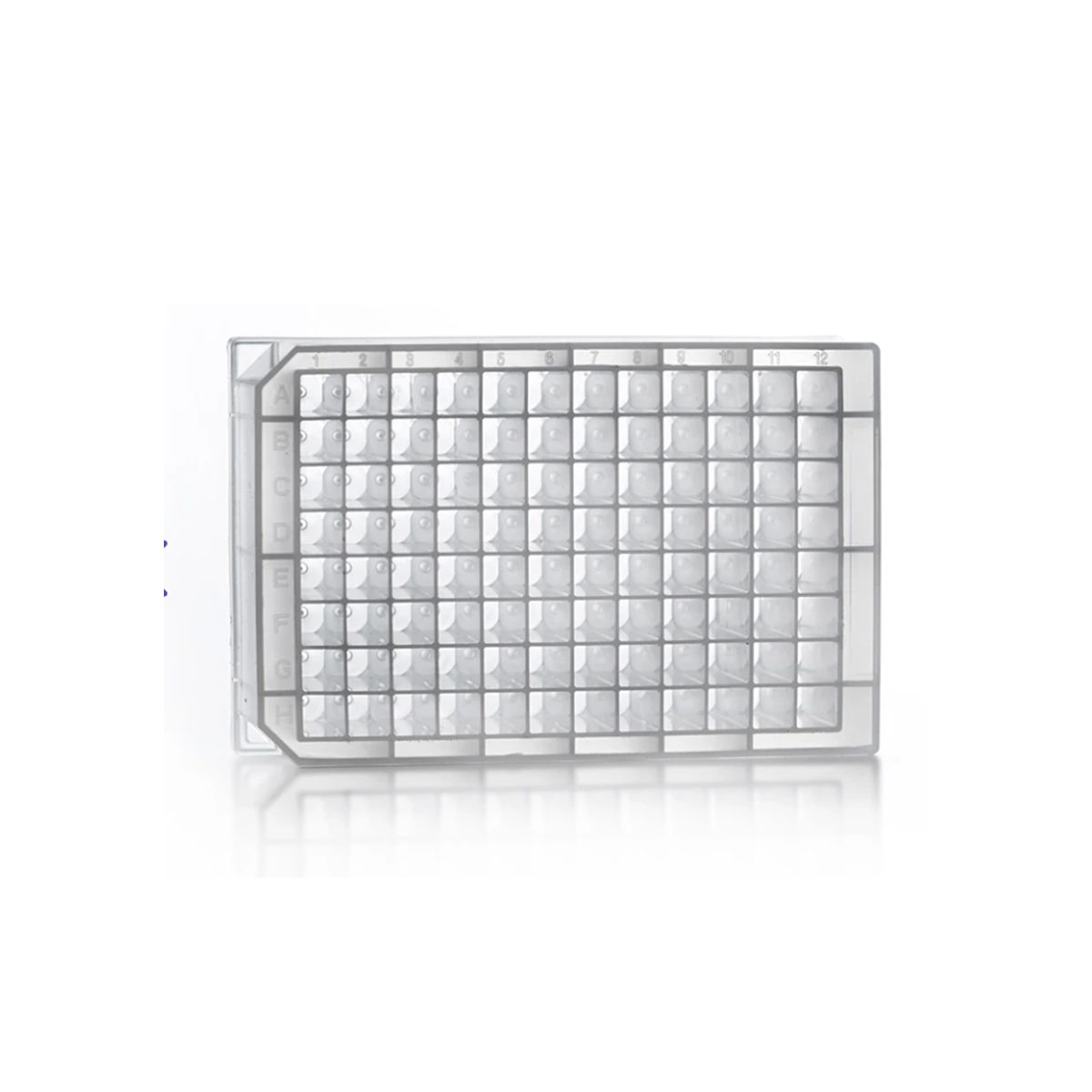 96 Square Deep Well Storage Microplate