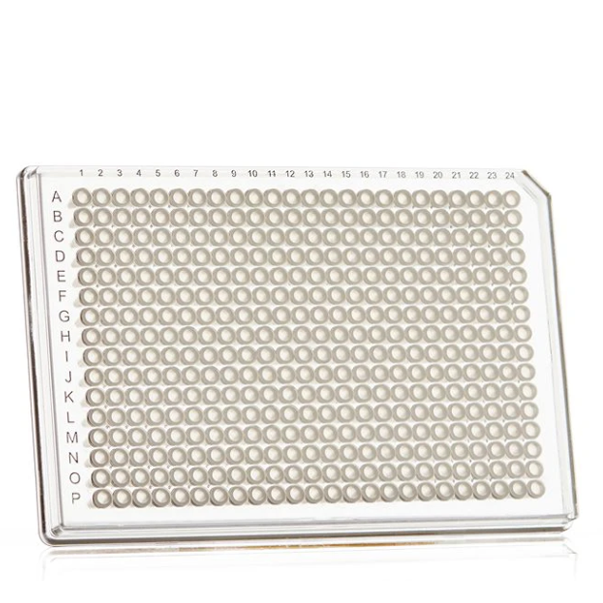 FrameStar® 384 Well Skirted PCR Plate