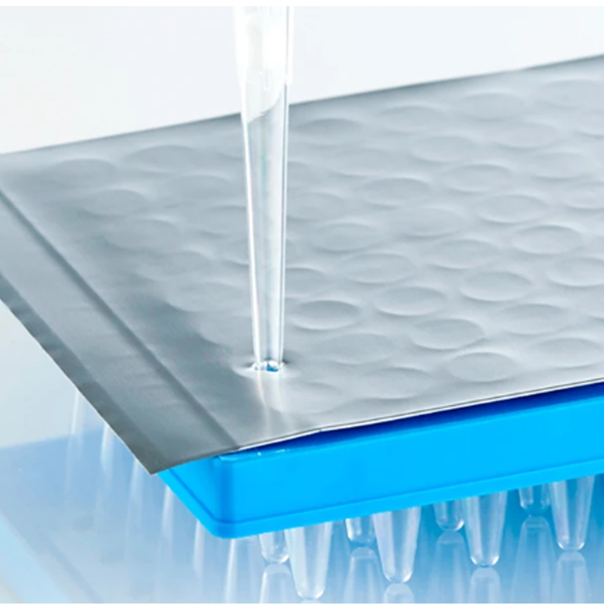 PCR Foil Seal Strong
