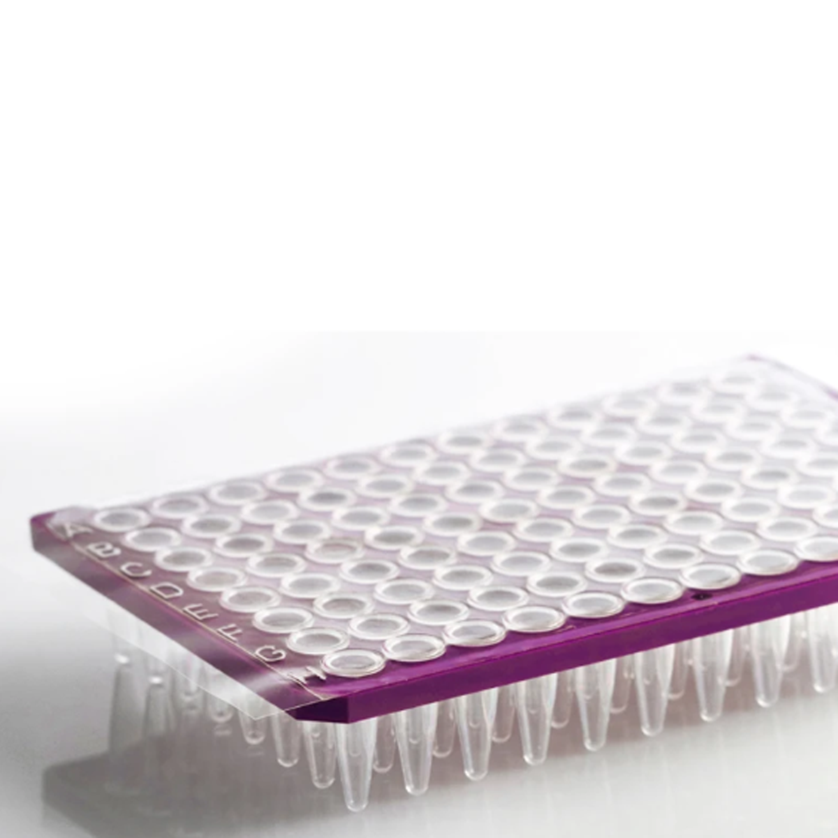 PCR Seal