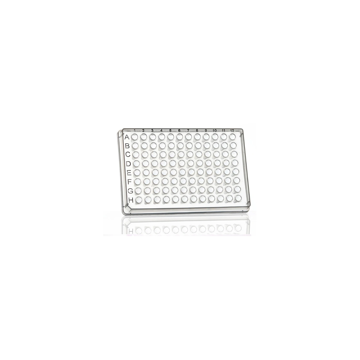 96 Well Skirted PCR Plate