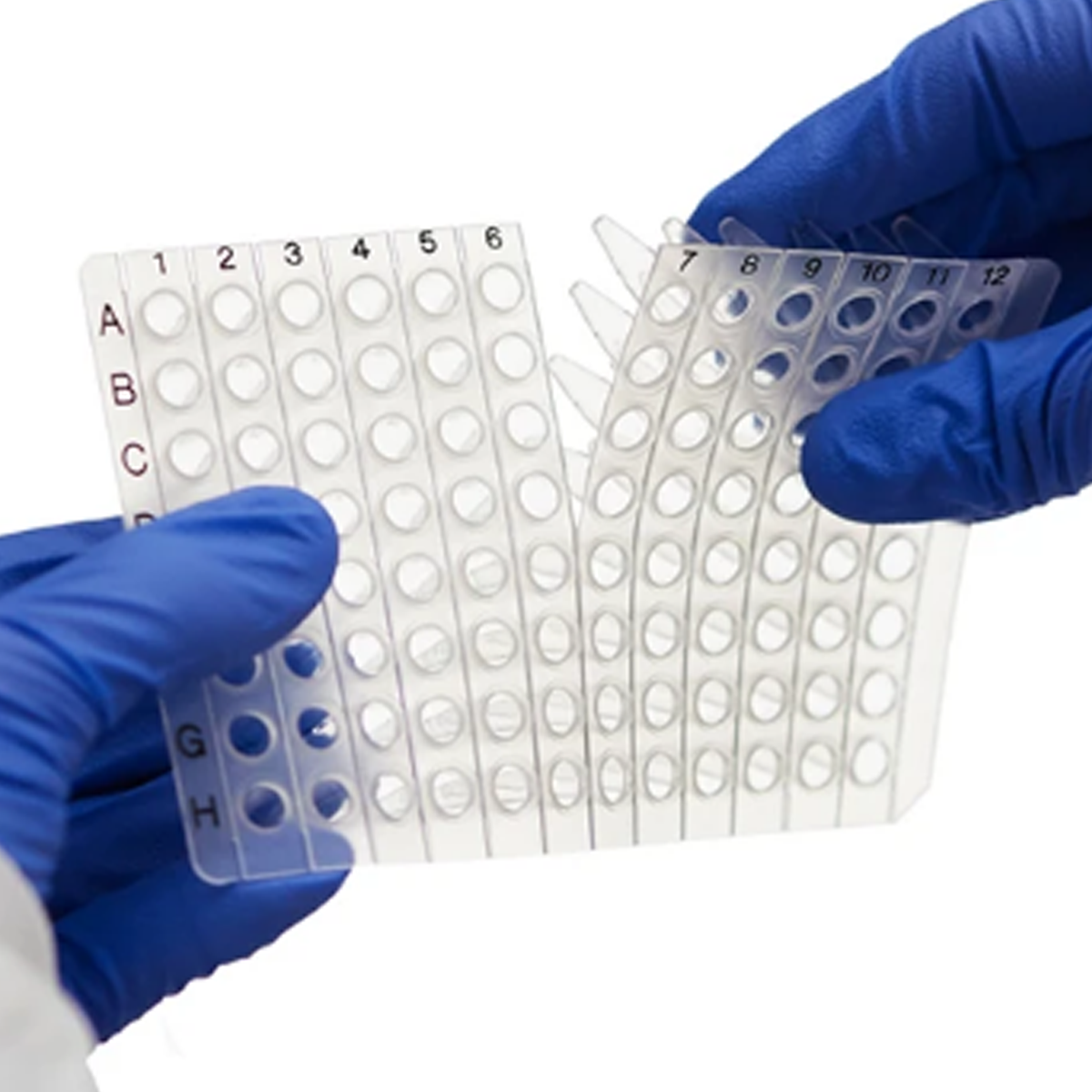 96 Well Non-Skirted PCR Plate Breakable Horizontally or Vertically
