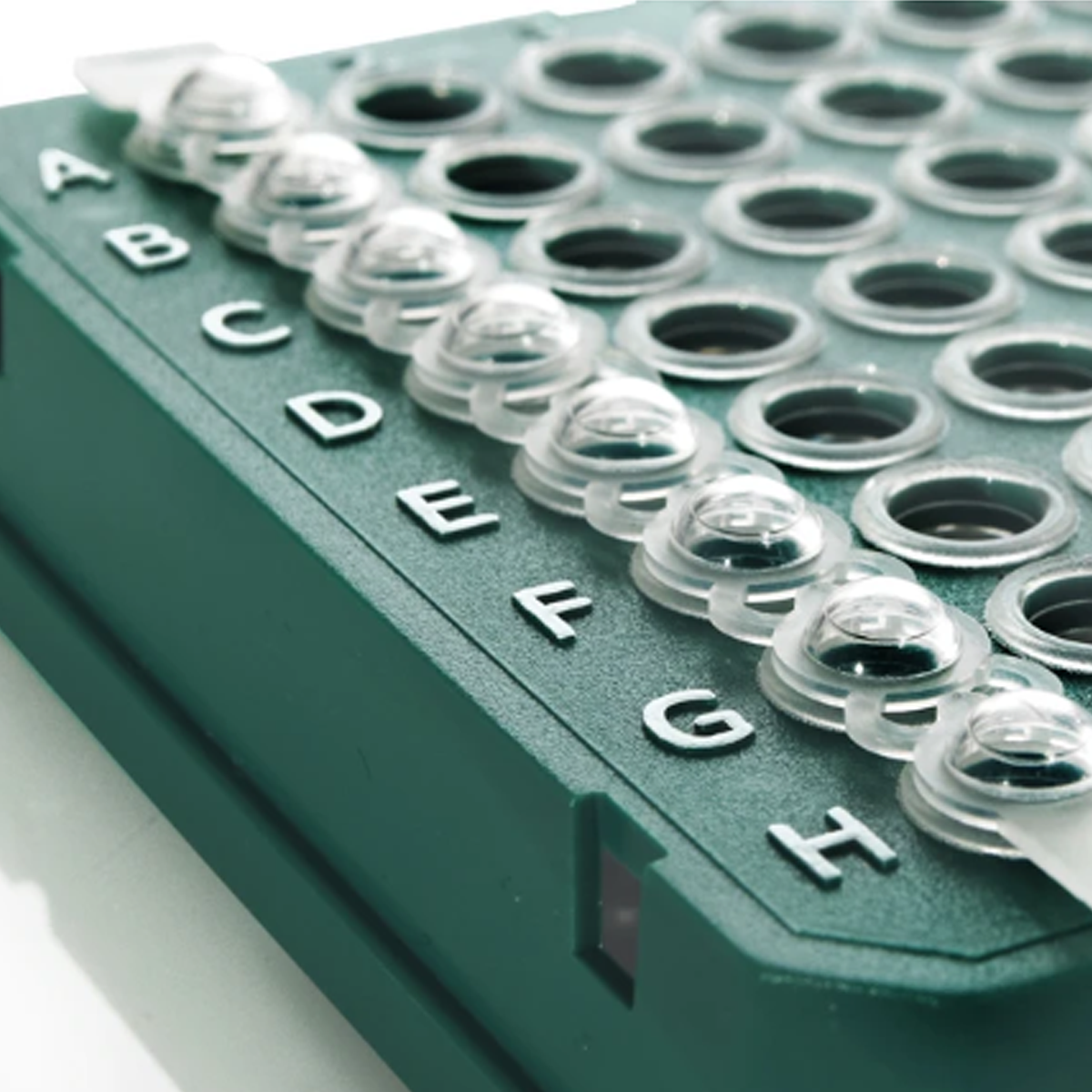 8 PCR strippi