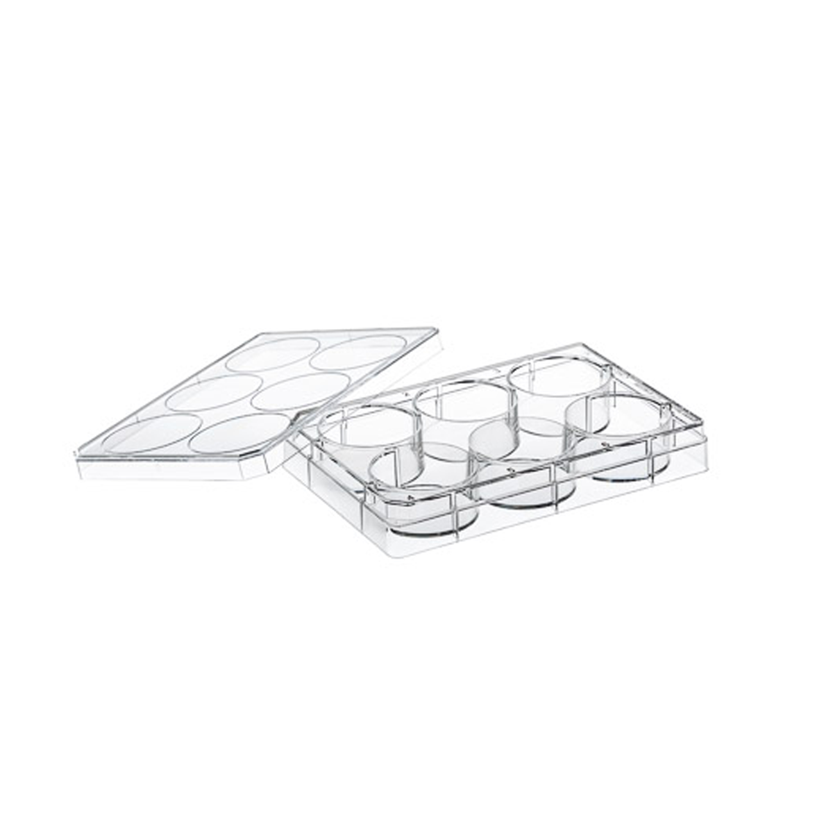 CELLSTAR® Soluviljelylevy TC 6 kuoppaa kannella