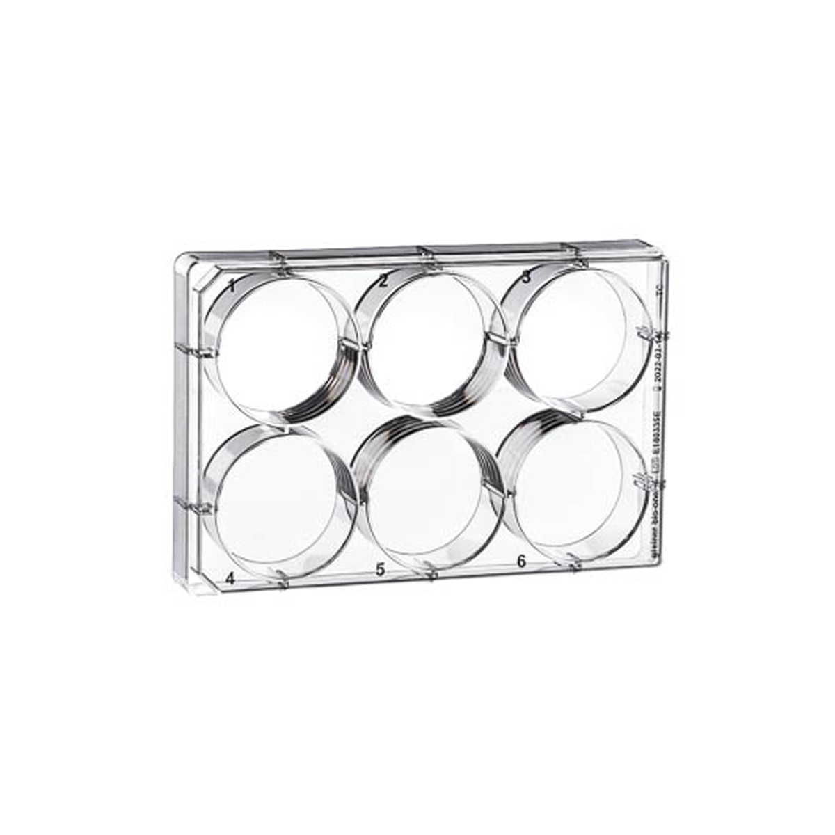 CELLSTAR® Soluviljelylevy TC 6 kuoppaa kannella