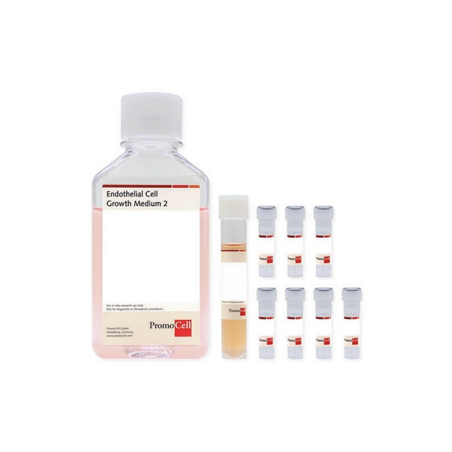 Endothelial Cell Growth Medium 2 Kit 500ml