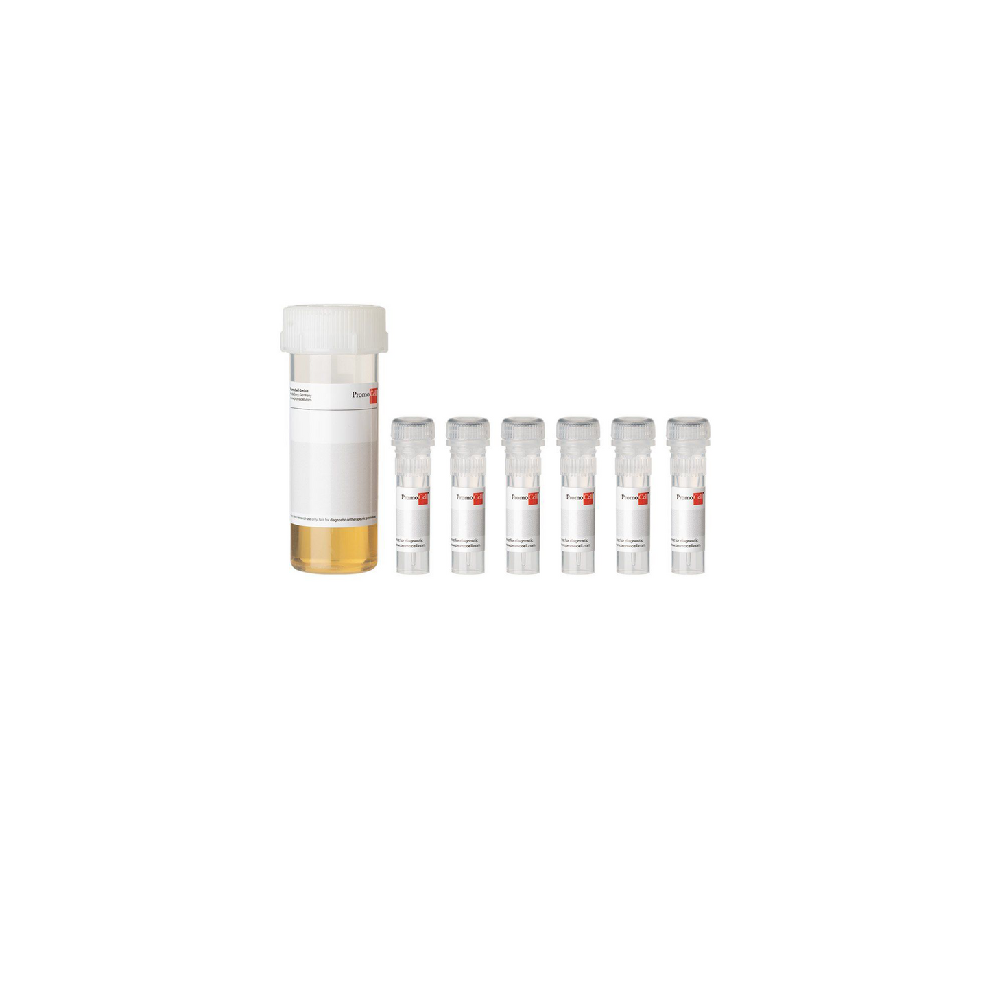 SupplementPack/Endothelial Cell Growth Medium MV 2
