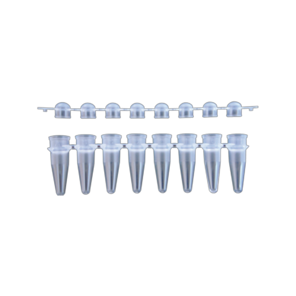 8-well PCR Tube Strips 0.2 mL with Cap Strips