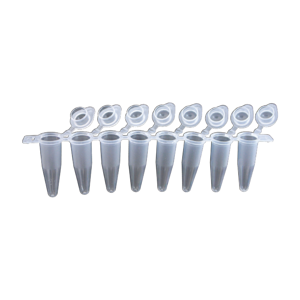 8-well PCR Tube Strips 0.2 mL with single domed caps