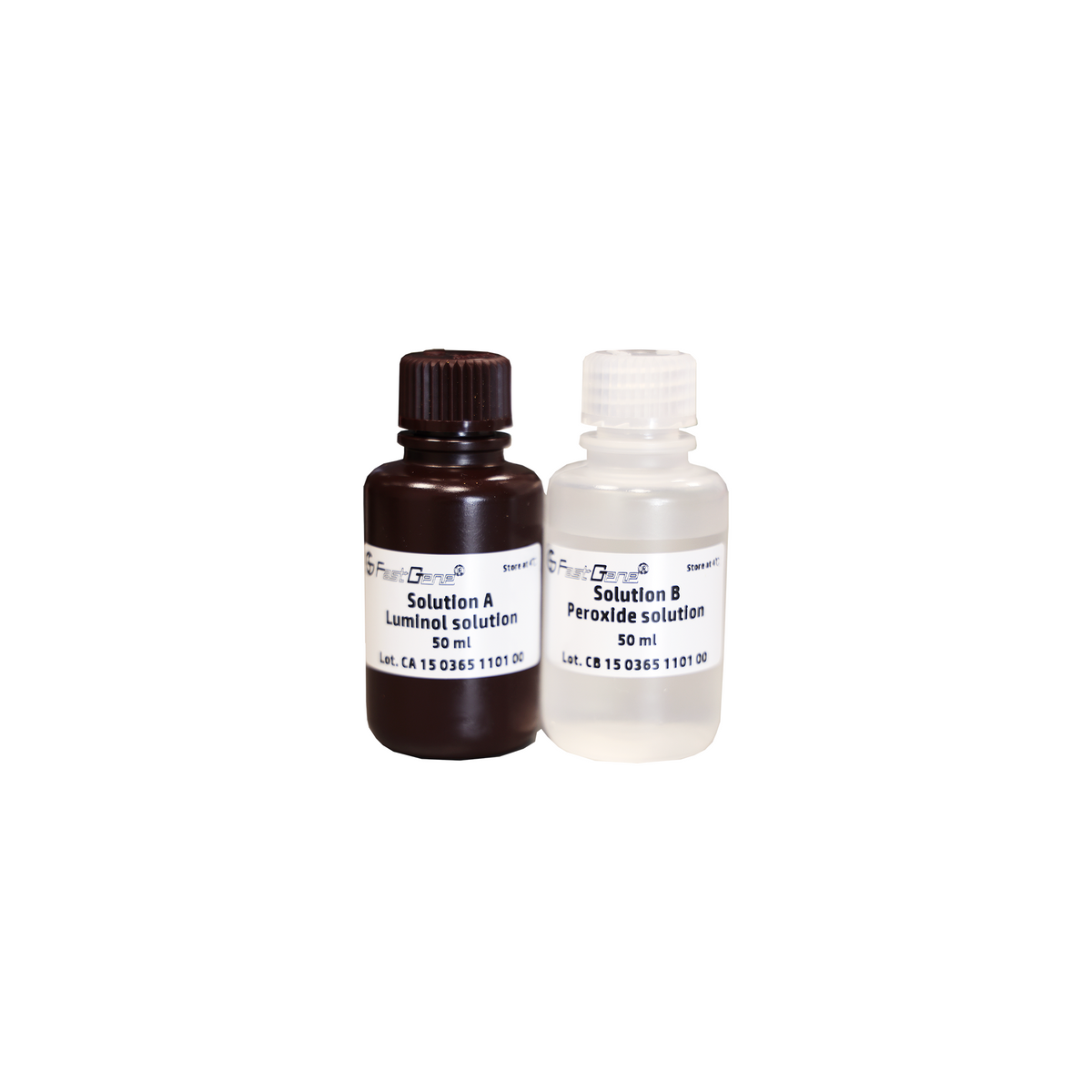 FastGene Western ECL Kit