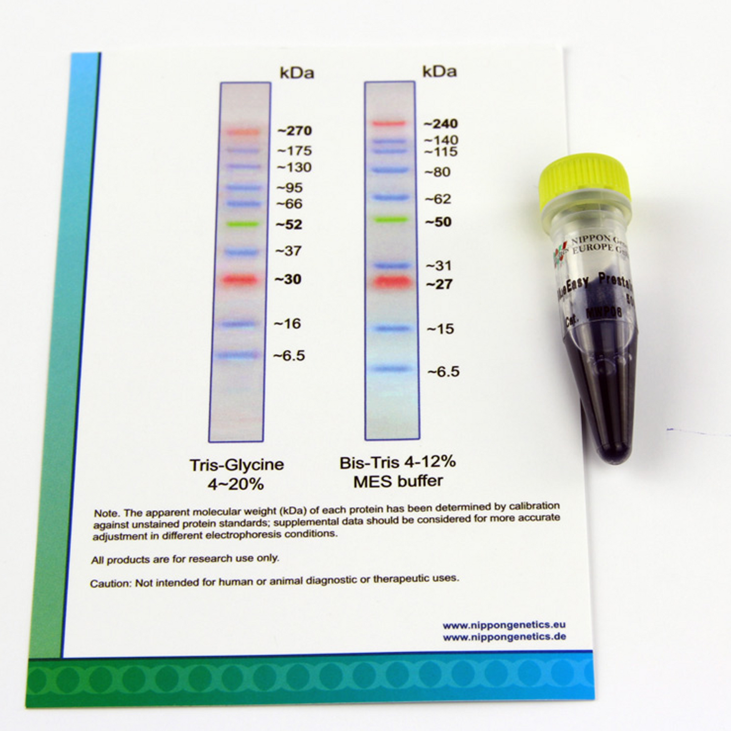 BlueEasy Prestained Protein Marker