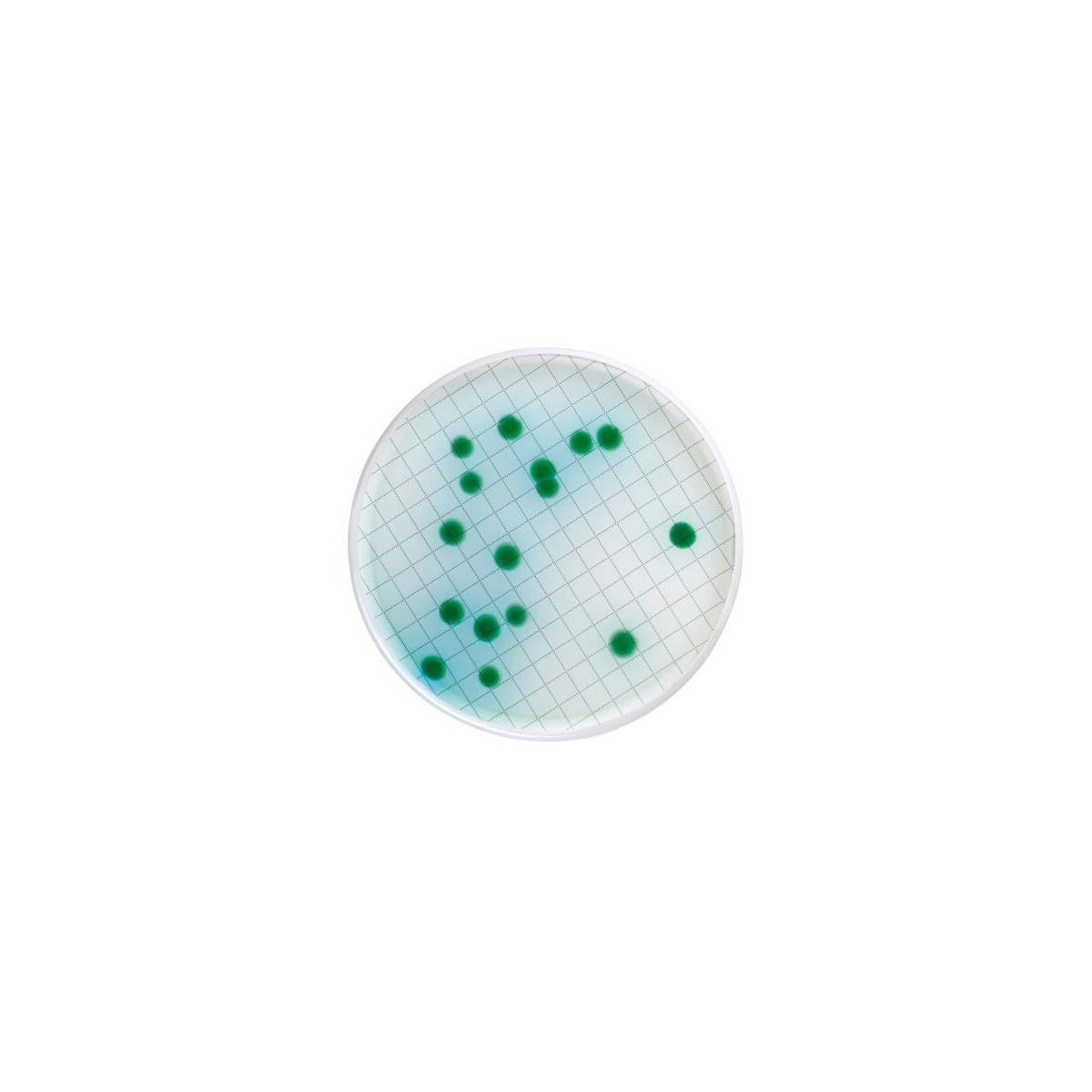 Milliflex Cetrimide agar
