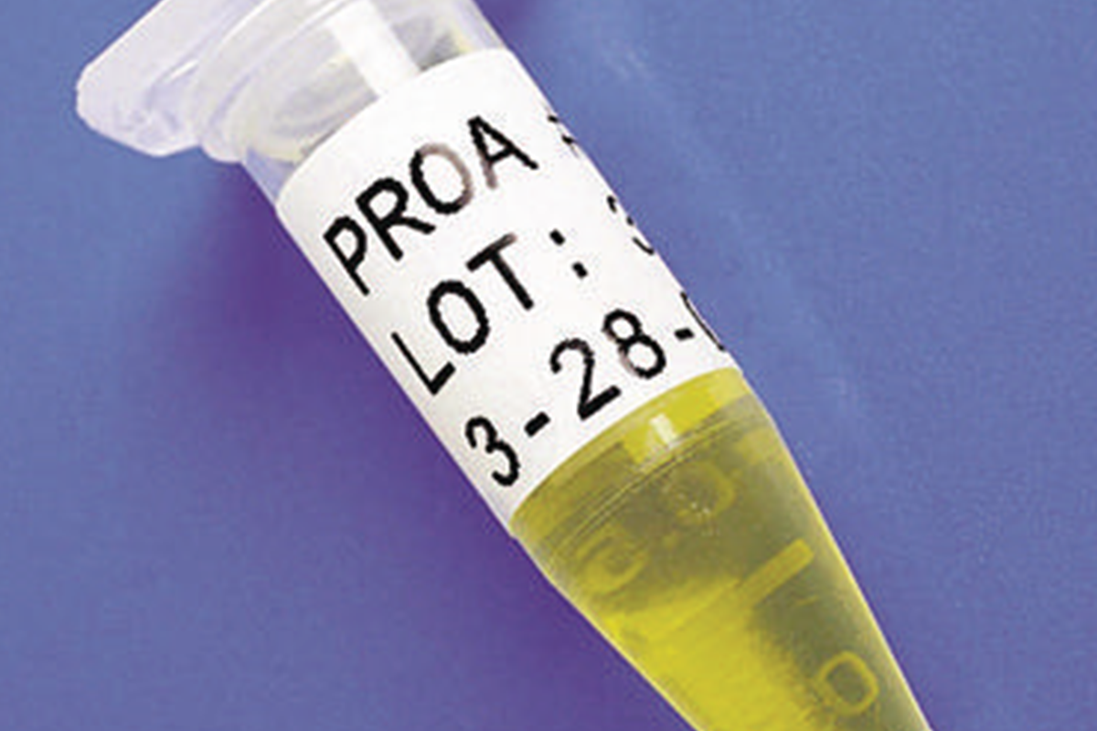 B-461 Polyester Label
