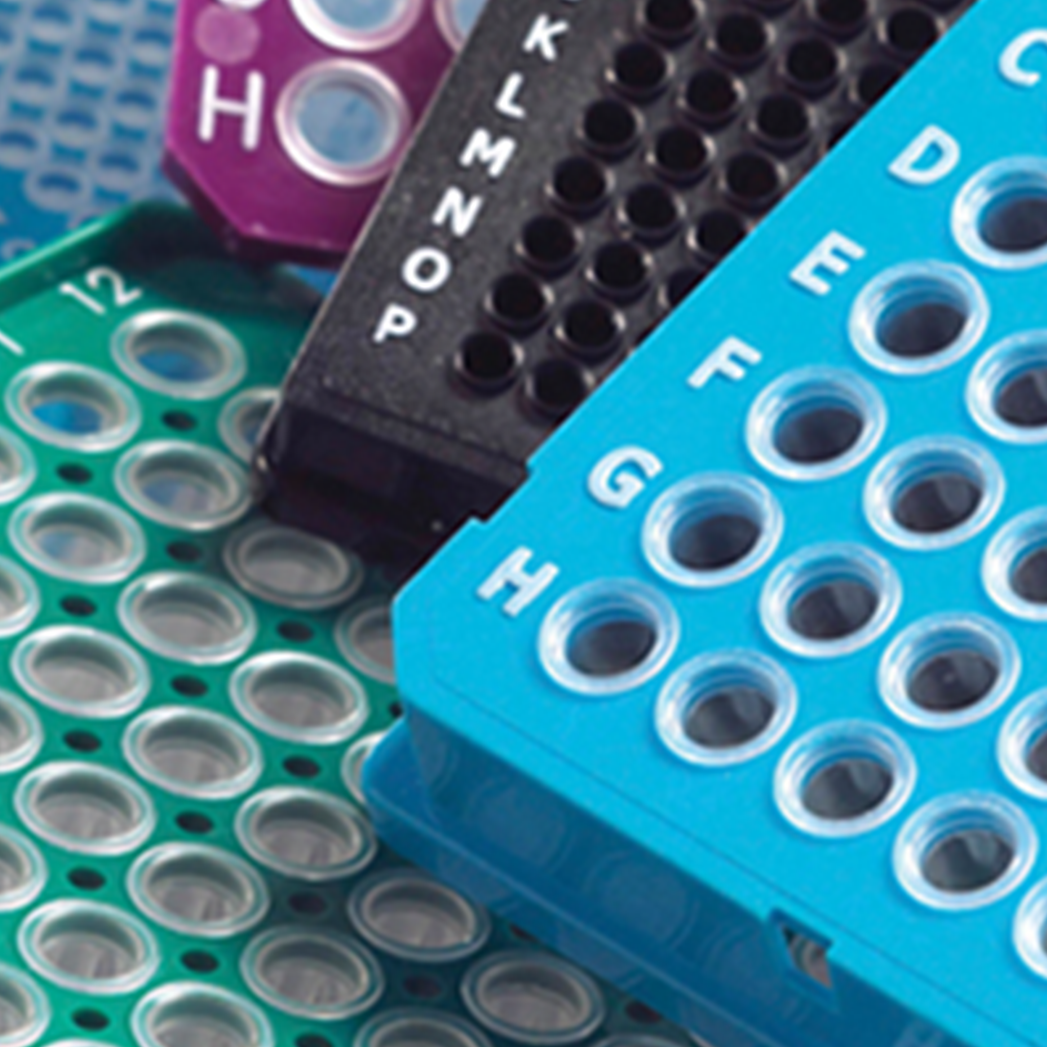 Rpp Pcr Collection PCR – Vingmed