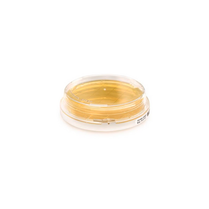 Sabouraud Dextrose Agar