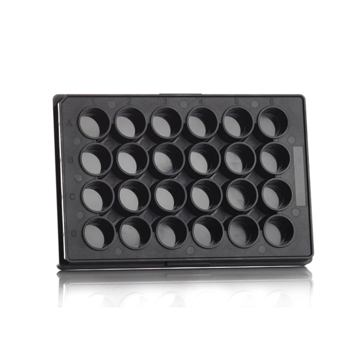 24 Well Assay Plate