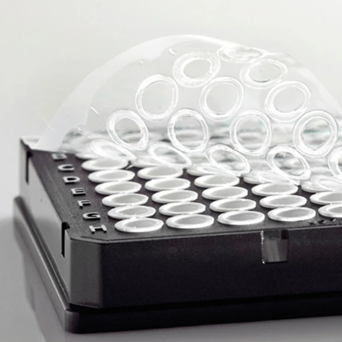 Clear Heat Seal