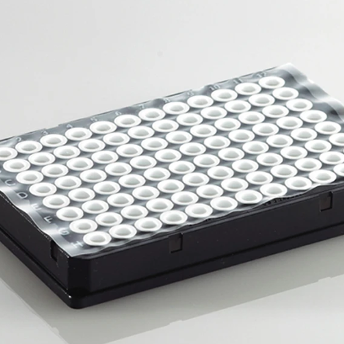Clear Heat Seal