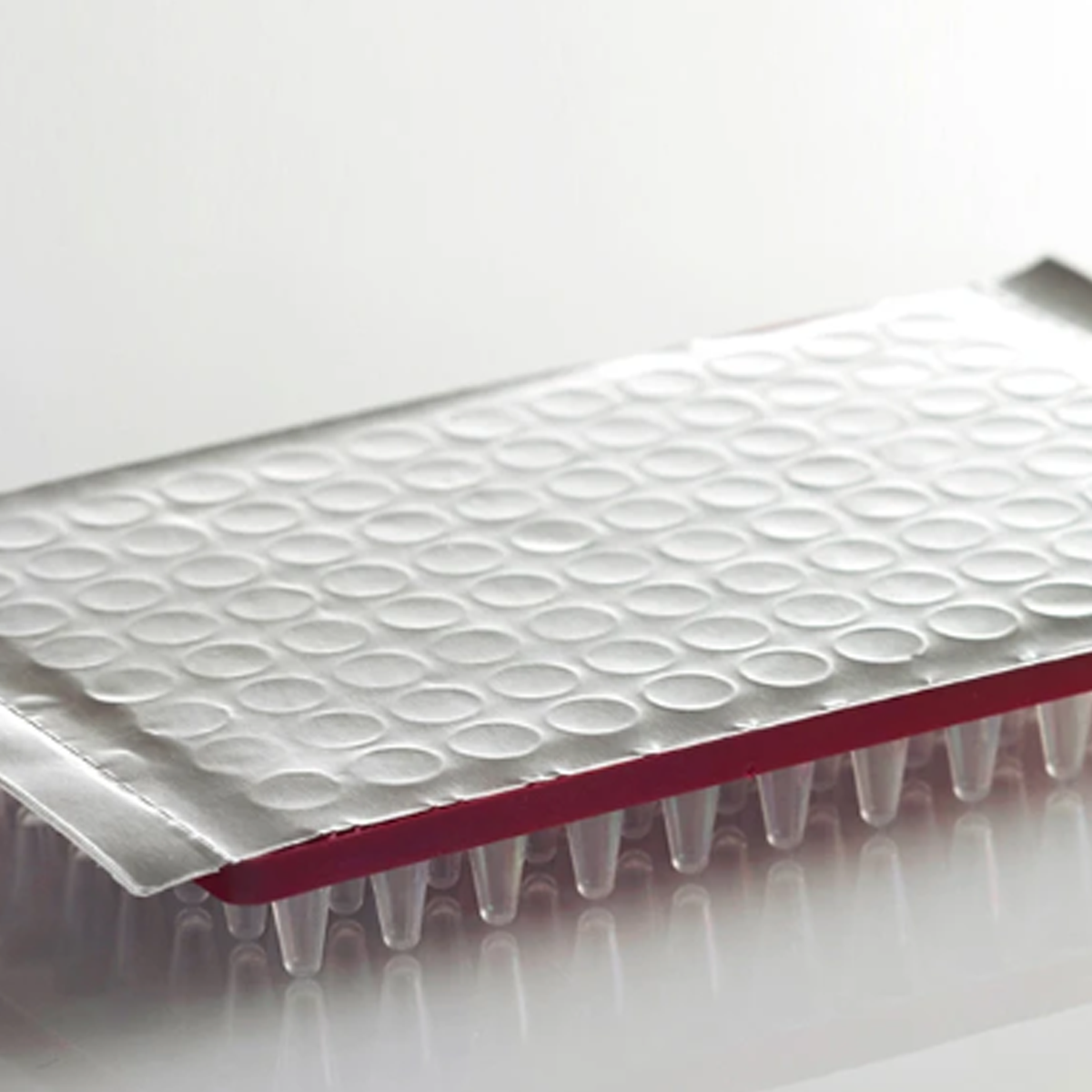PCR Foil Seal