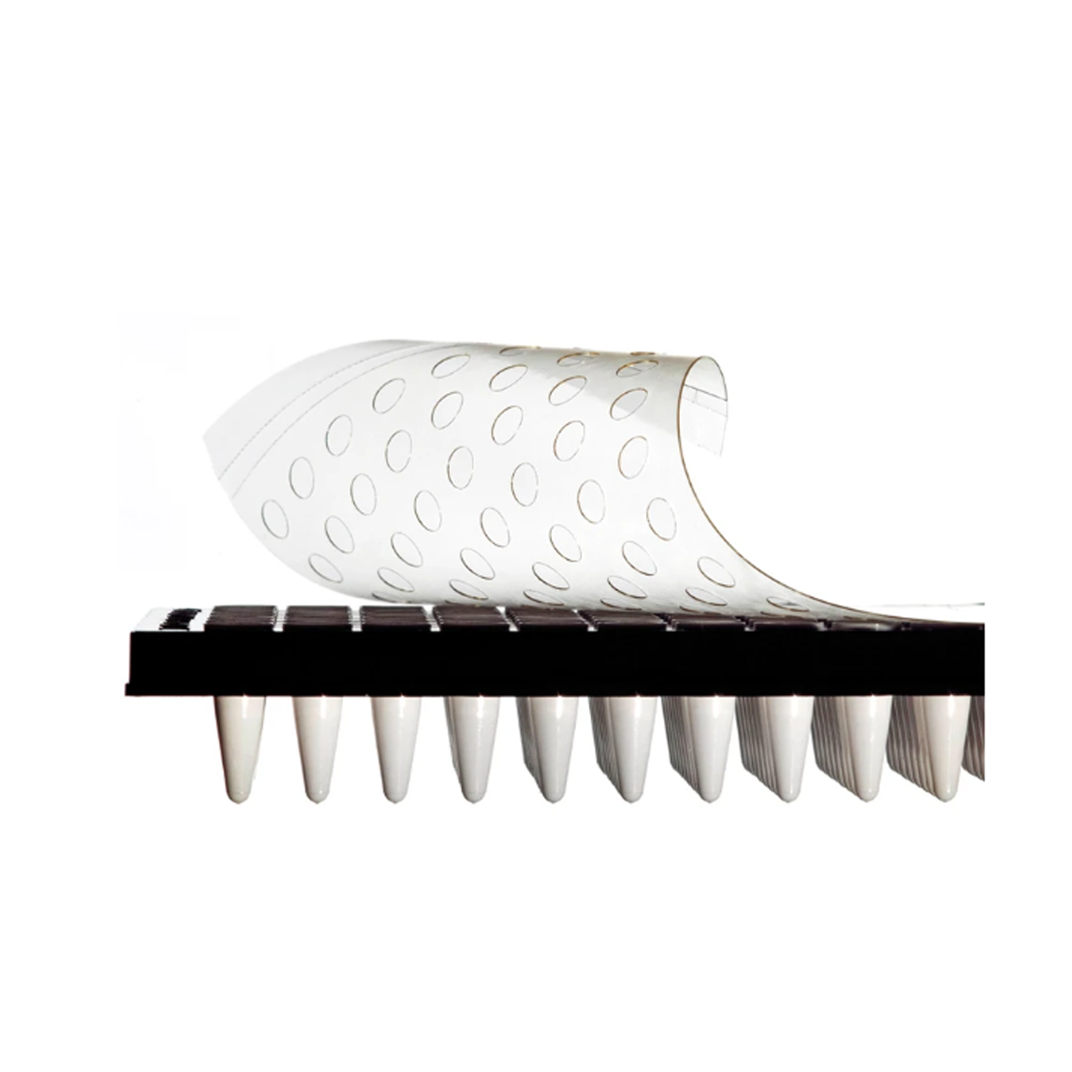 Optically Clear Windowed qPCR Seal