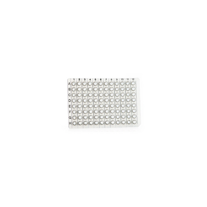 96 Well Non-Skirted PCR Plate Breakable Horizontally or Vertically