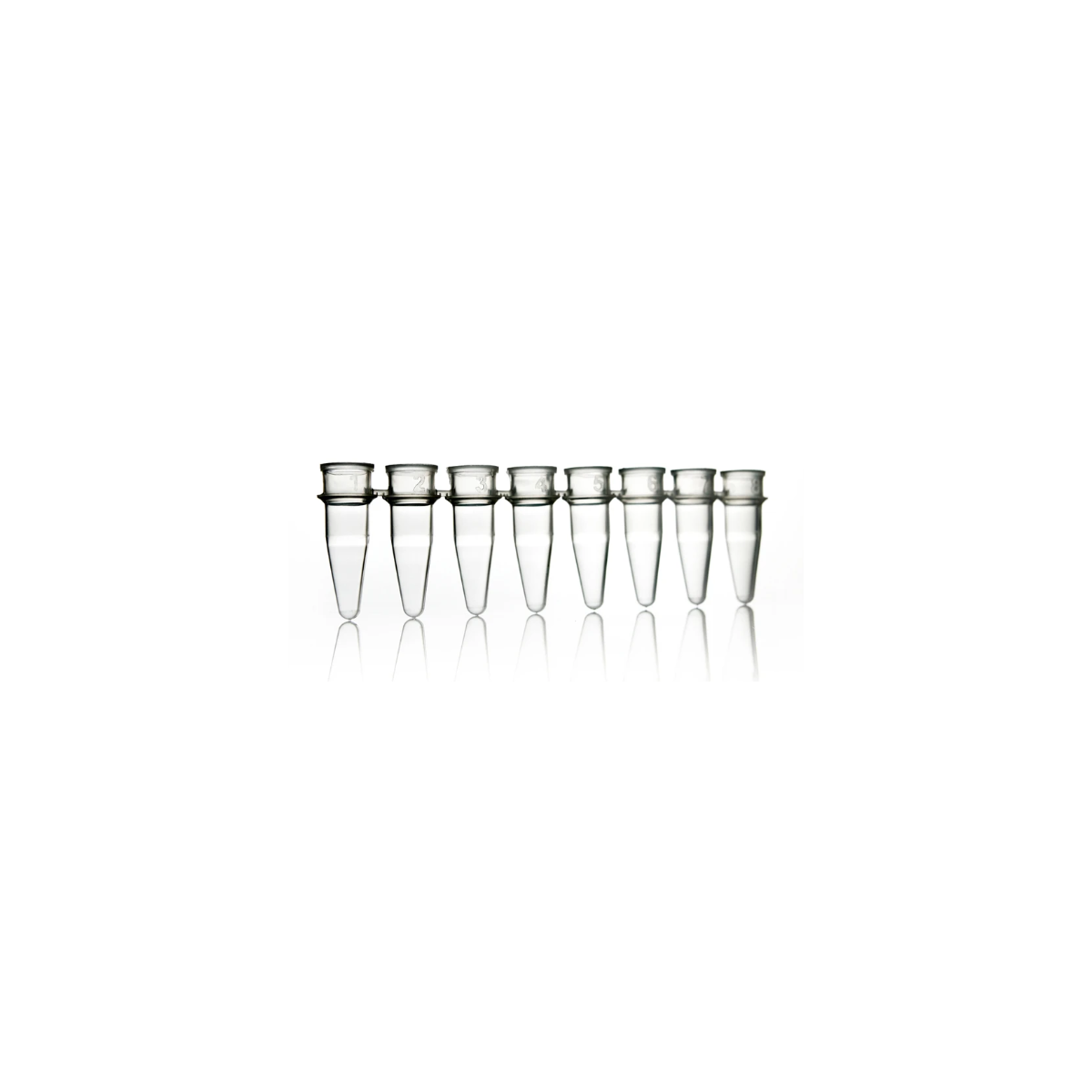8 Well PCR Tube Strip