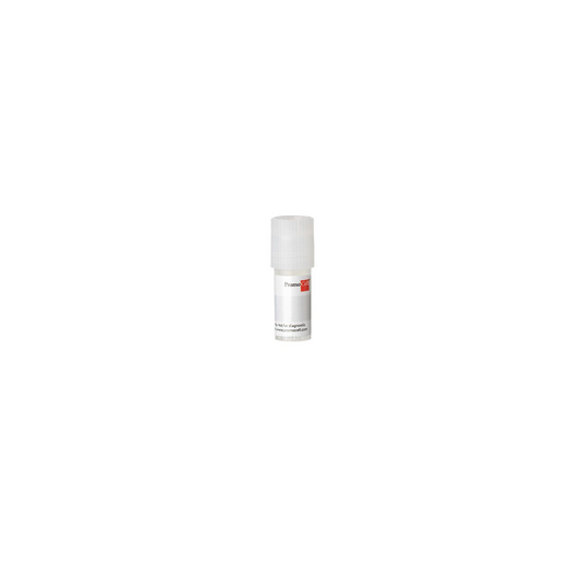 HDMEC-c adult 500,000 cells