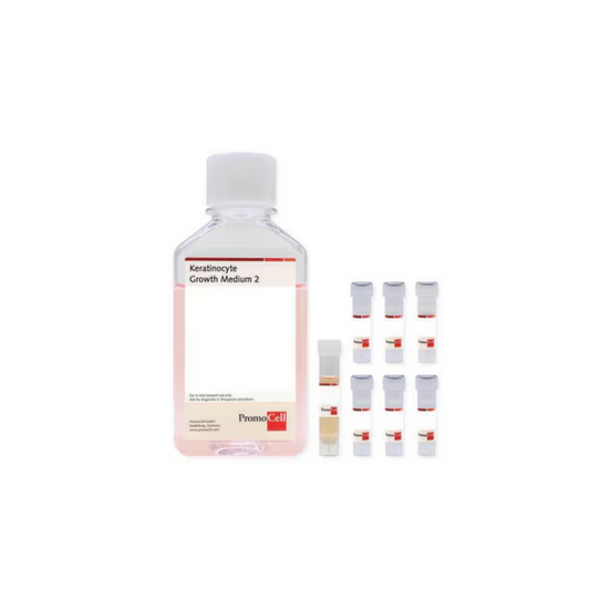 Keratinocyte Growth Medium 2 Kit 500ml