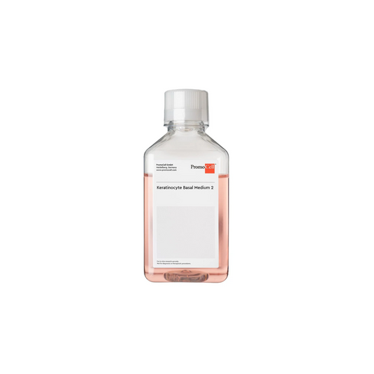 Keratinocyte Basal Medium 2  500ml