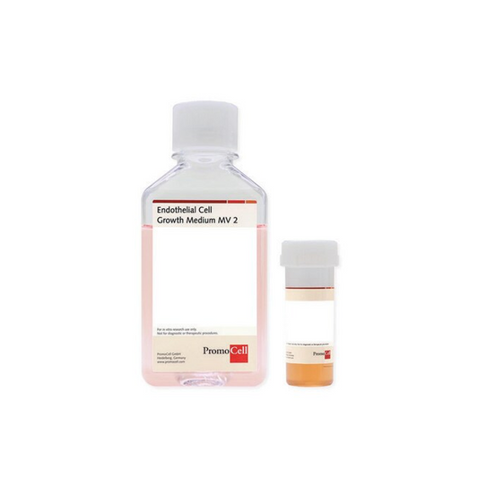 Endothelial Cell Growth Medium MV 2 500ml
