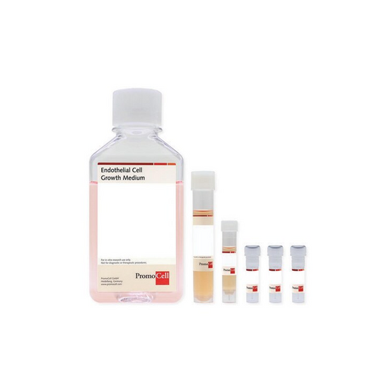 Endothelial Cell Growth Medium Kit 500ml