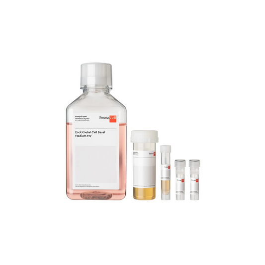 Endothelial Cell Growth Medium MV Kit 500ml