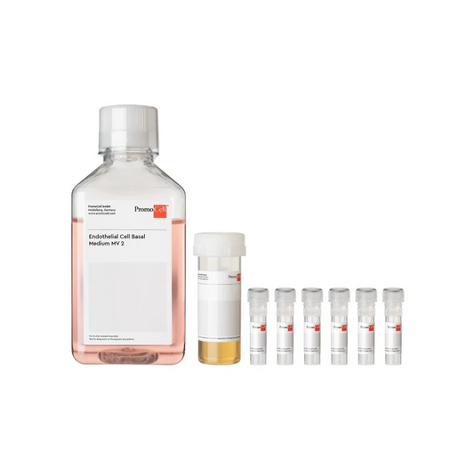 Endothelial Cell Growth 500ml