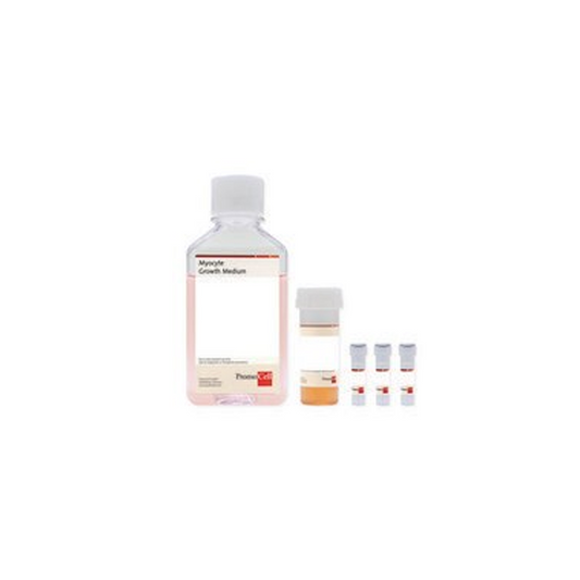 Myocyte Growth Medium Kit 500ml