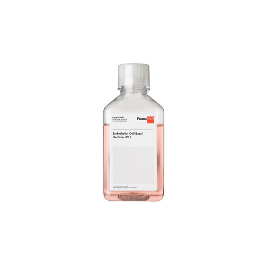 Endothelial Cell Basal Medium MV 2 500ml