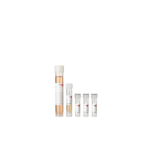 SupplementPack / Endothelial Cell Growth Medium 1 pack