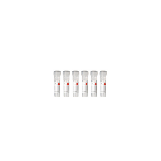 SupplementPack / Preadipocyte Differentiation Medium