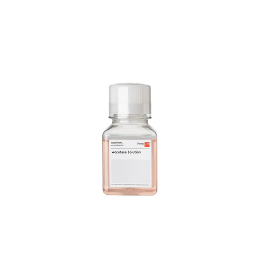 Accutase Solution 100ml