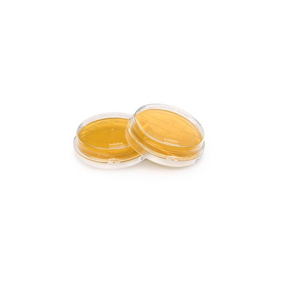 Tryptic Soy Agar - Ready-to-use Contact Plates