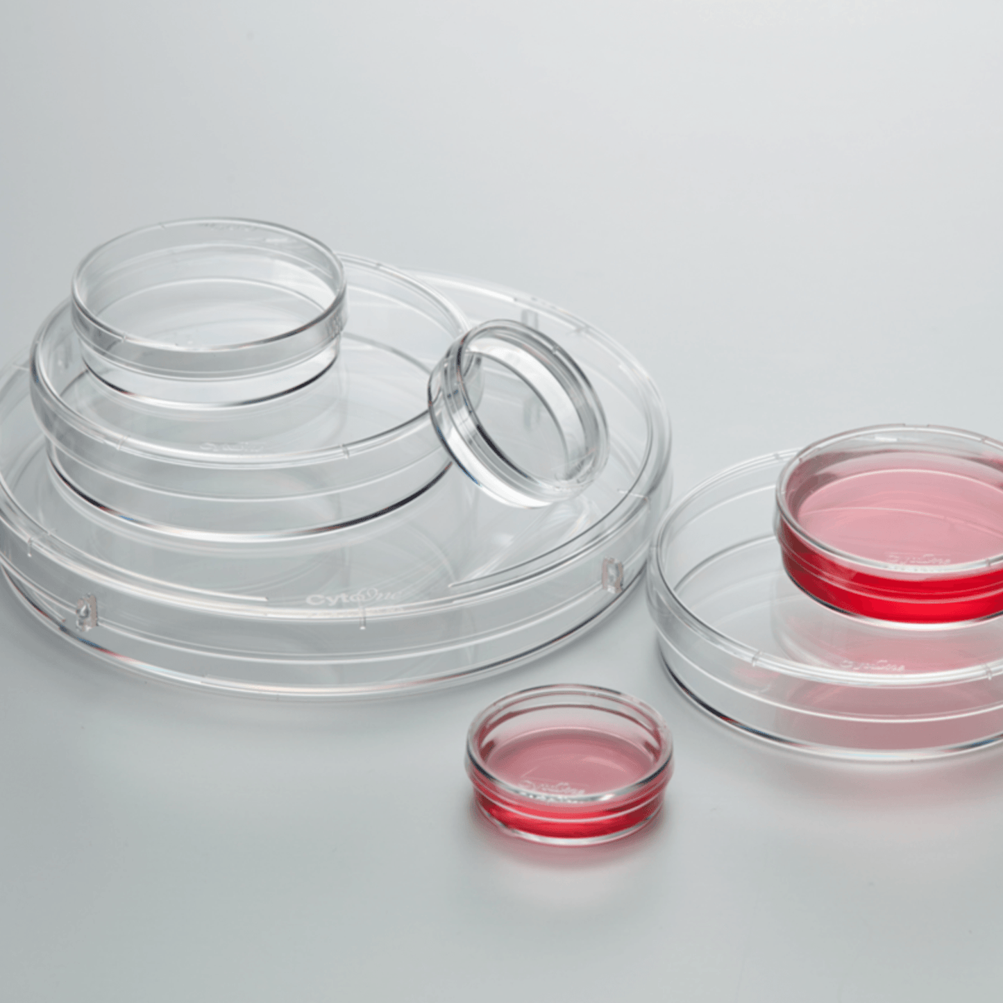 CytoOne® Dishes