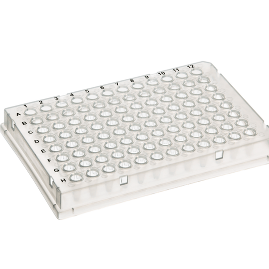 96-Well PCR Plate, Skirted