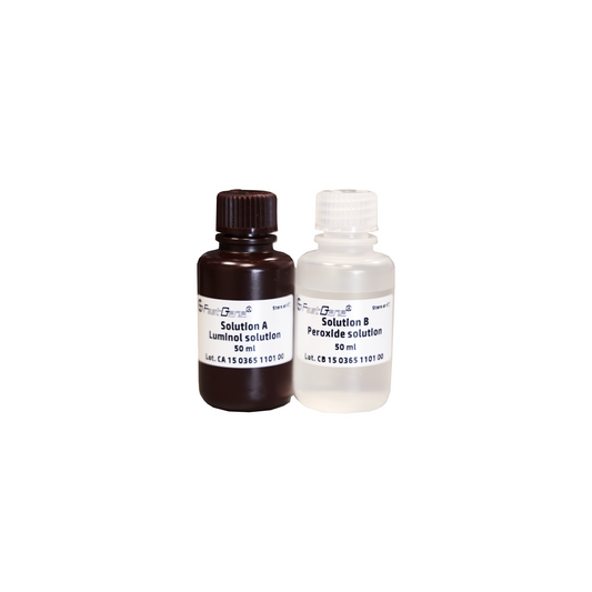 FastGene Western ECL Kit