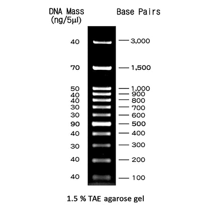 FastGene 100 bp DNA Marker