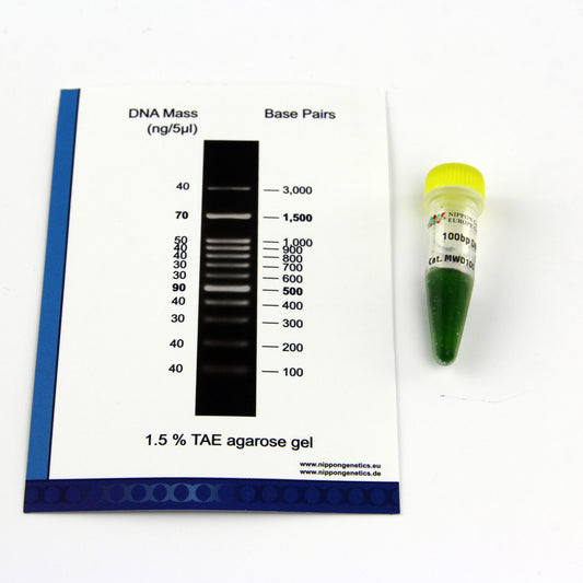 FastGene 100 bp DNA Marker