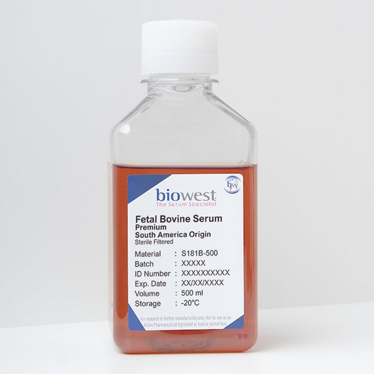 Fetal Bovine Serum (South America) Premium 500ml
