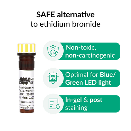 Midori Green Extra