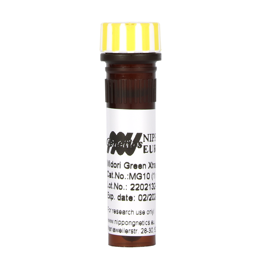 Midori Green Extra
